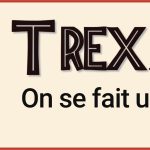 Analyse LEGO 76964 T Rex Skull