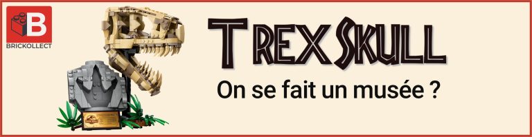 Analyse LEGO 76964 T Rex Skull