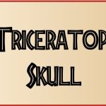 76969 Triceratops Skull : un crâne bien posé peut-il vraiment prendre de la valeur ?