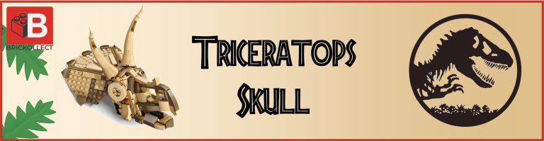76969 Triceratops Skull : un crâne bien posé peut-il vraiment prendre de la valeur ?